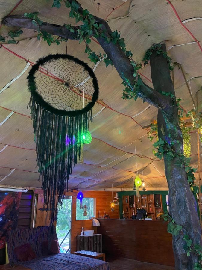 A Lounge Hostel And Cafe Ella Luaran gambar