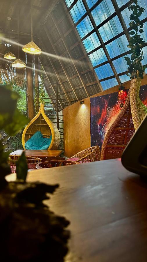 A Lounge Hostel And Cafe Ella Luaran gambar